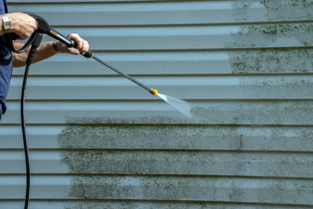 Best Sidewalk and Walkway Cleaning  in Pueblo, CO